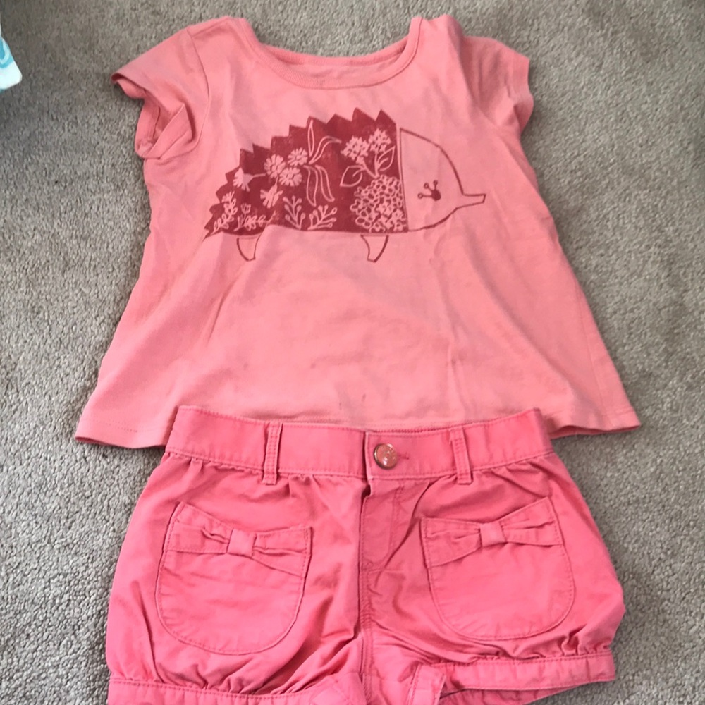 Sweet tea shirt with hedgehog print